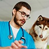 Dr LAMOTTE Pascal